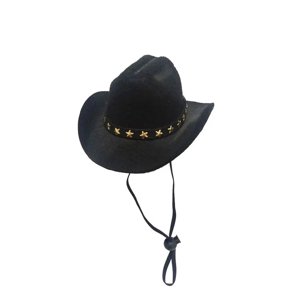 Cowboy Hat for Dogs & Cats