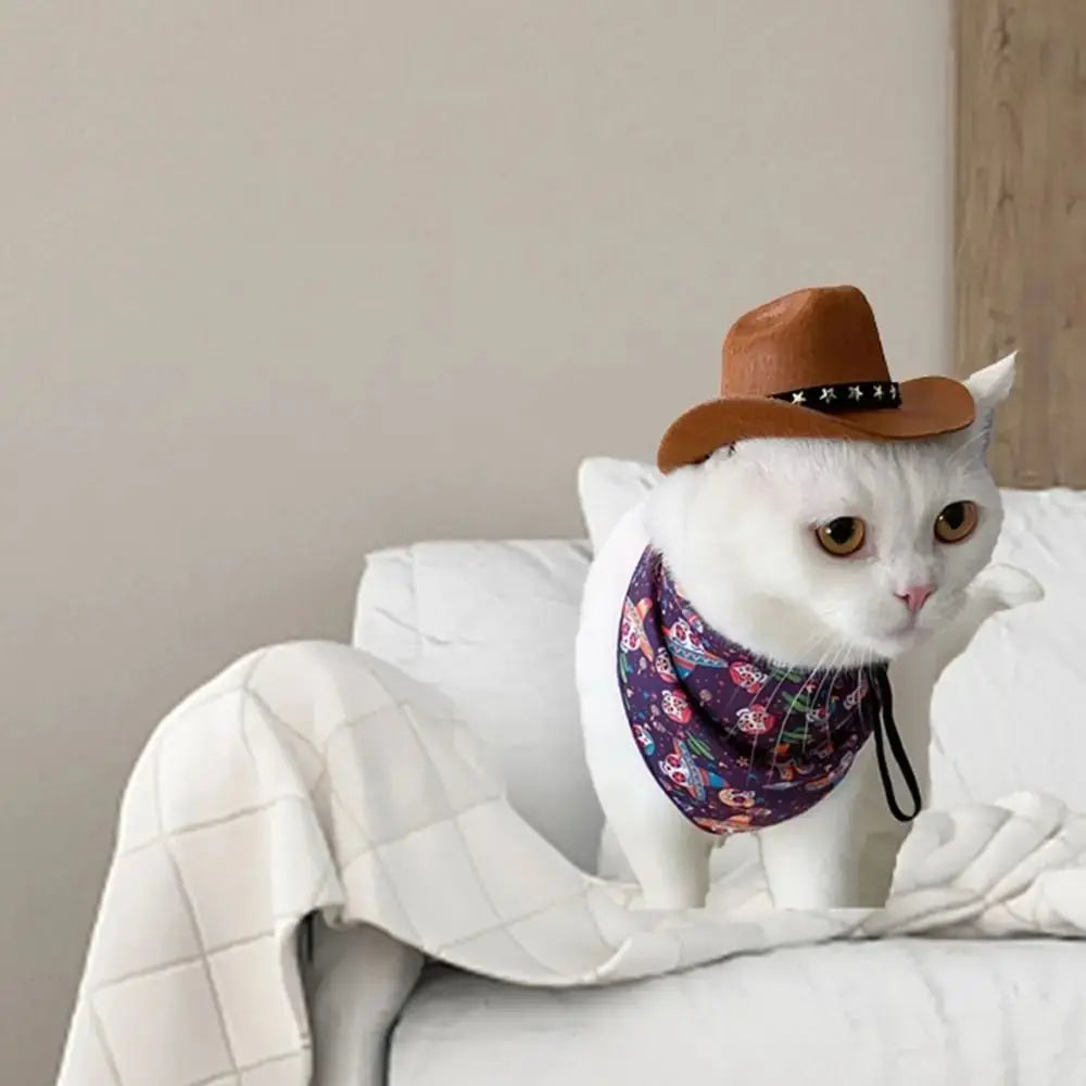 Cowboy Hat for Dogs & Cats