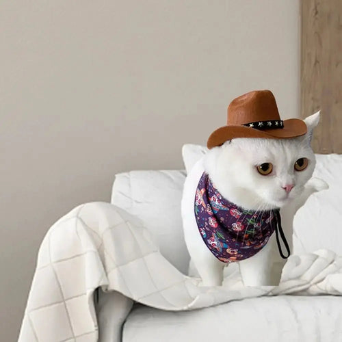 Cowboy Hat for Dogs & Cats
